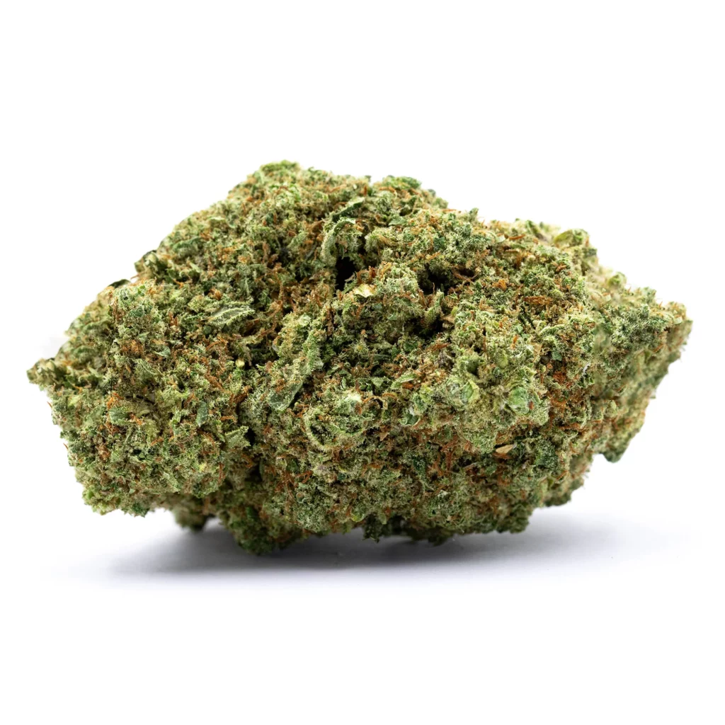 Skunk
